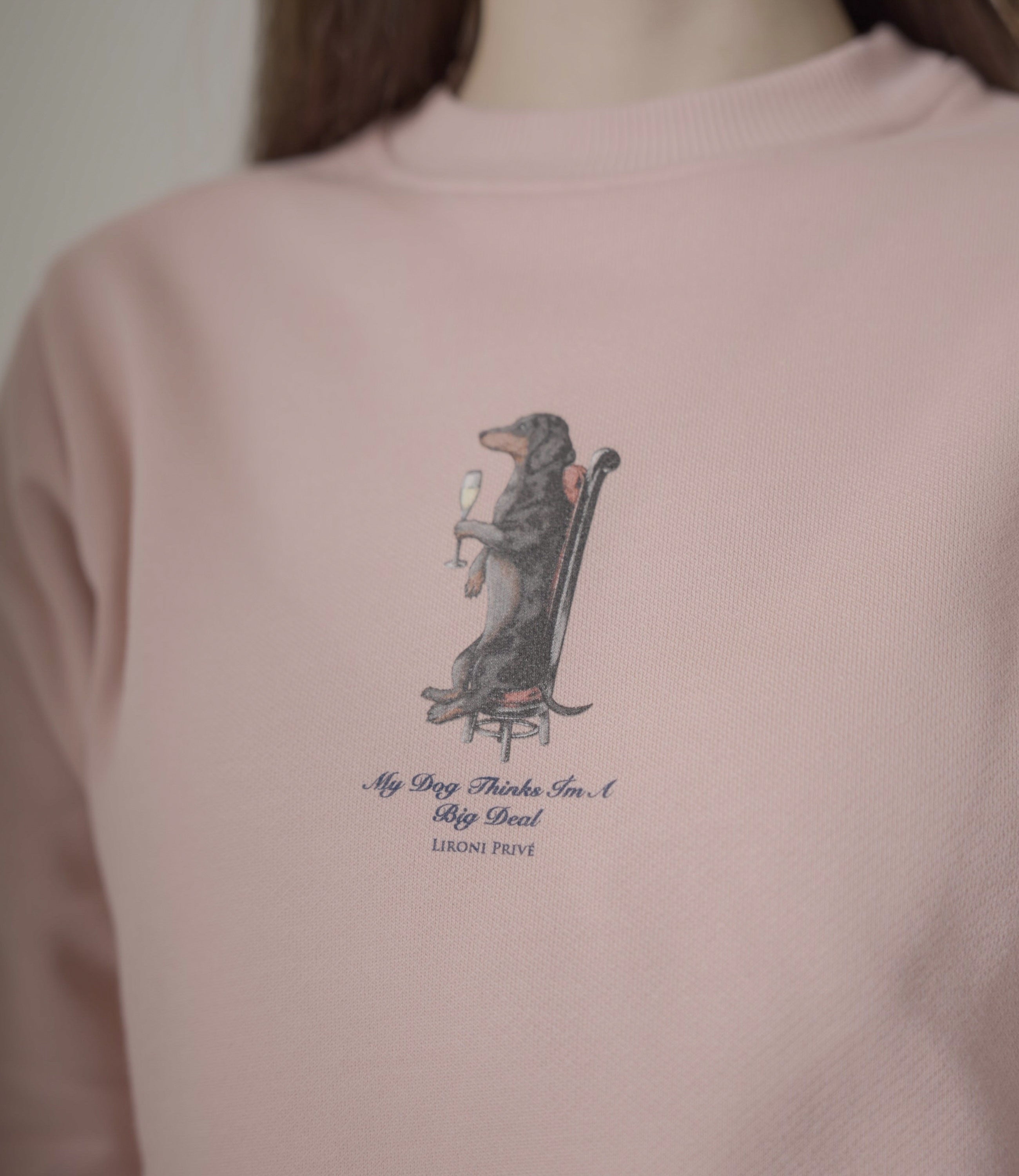 Crewneck Dachshund R